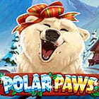 Polar Paws
